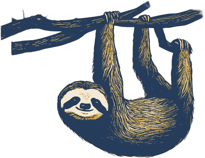 Drawing of a sloth hanging from a branch